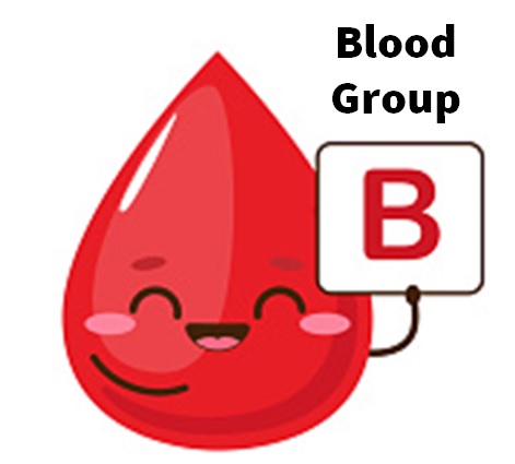 Blood Type B Personality