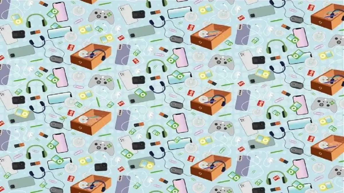Optical Illusion Picture: Find the money hidden here