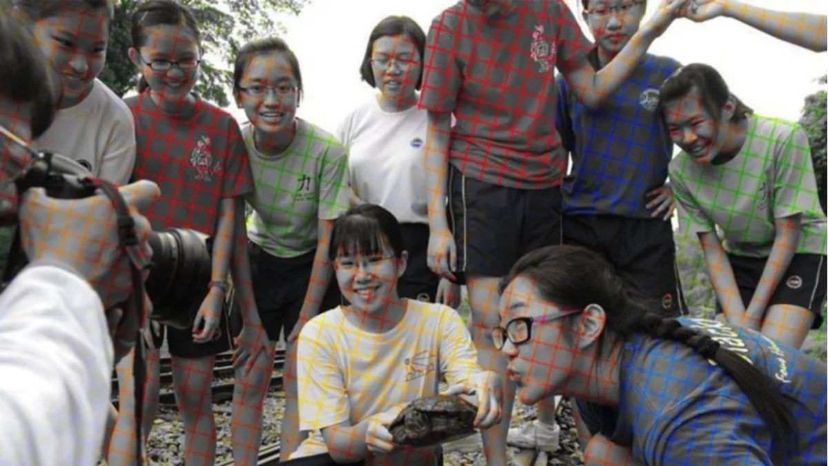 Optical Illusion Photo Color Test