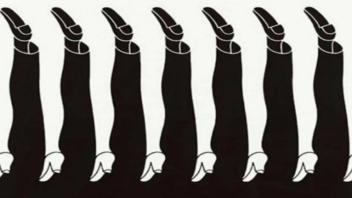 Optical Illusion: Trousers or heels? Picture reveals if you are a good conversationalist!