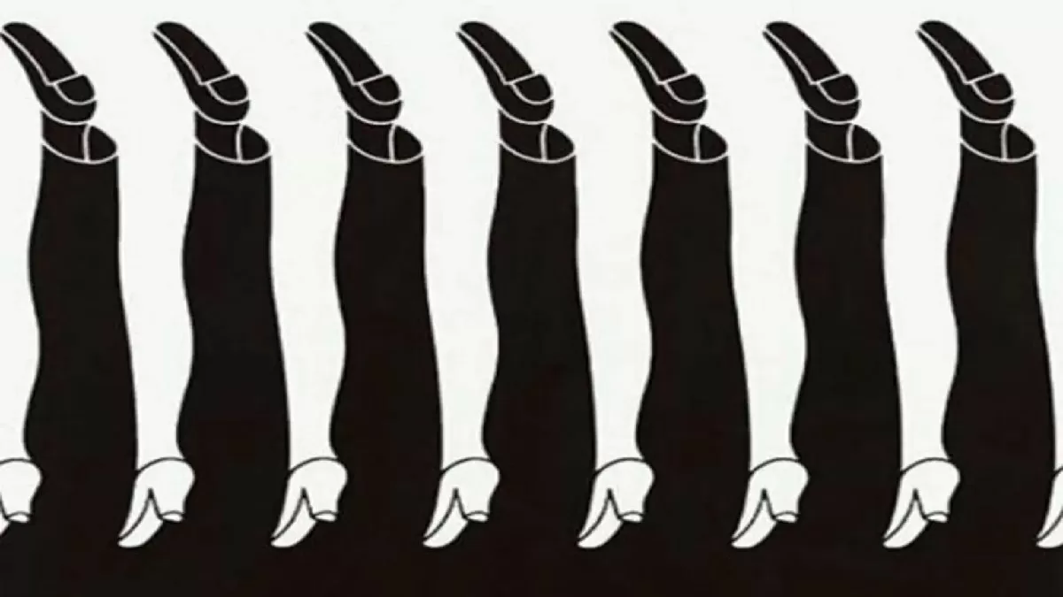 Optical Illusion: Which legs do you see?
