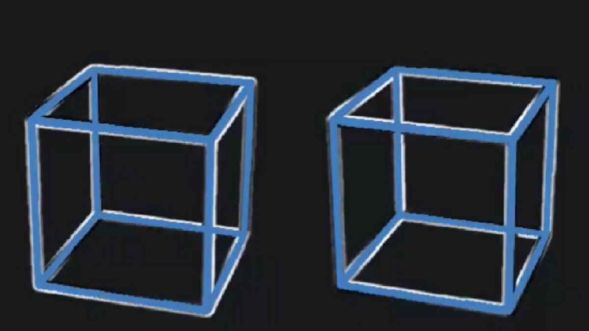 optical illusions cube