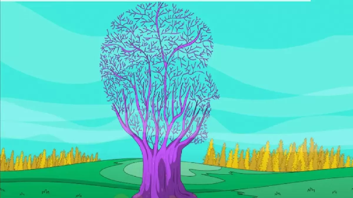 Optical Illusion Personality Test: Image tells if you are happy