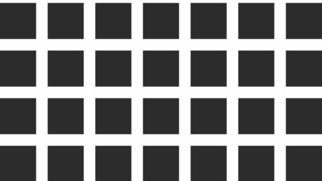 Hermann Grid Illusion