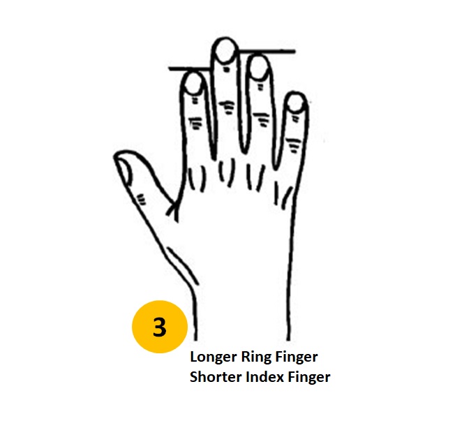Stay Or Stray? Finger Length May Tell If You Are Promiscuous Or Faithful |  Science 2.0