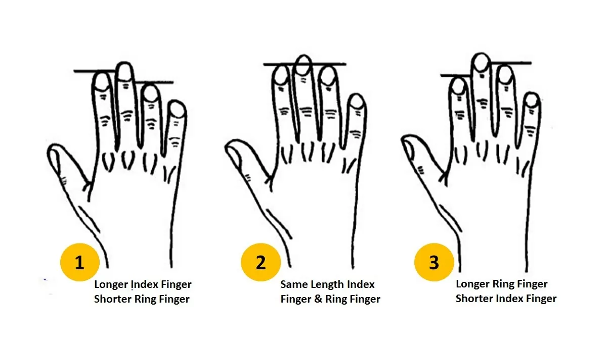 your finger length reveals these personality traits compressed