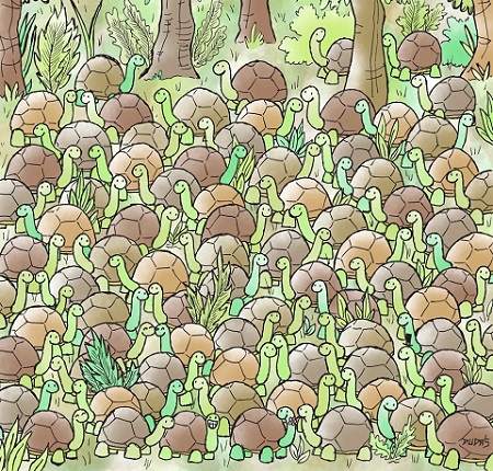 Optical Illusion- Spot the snake 