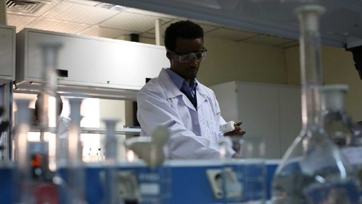 Marburg Virus Outbreak Ghana: Ghana declares first outbreak of deadly Marburg virus- Check Symptoms