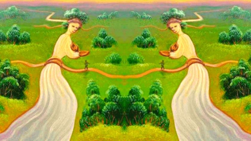 Optical Illusion Woman
