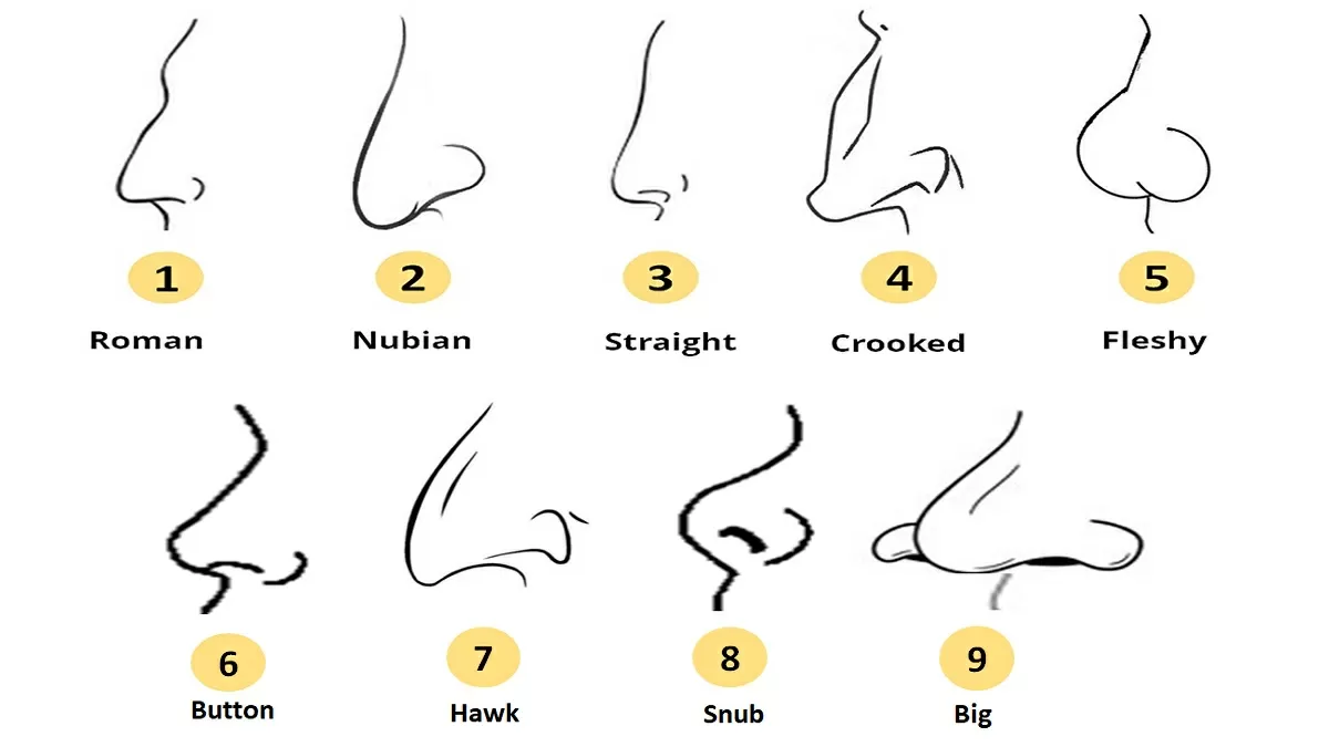 Nose types used. From top left to bottom right in order: Crooked