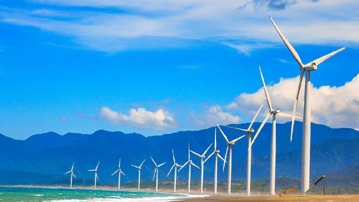 International Wind Day 2022: What’s Blank Power and why is it vital?
