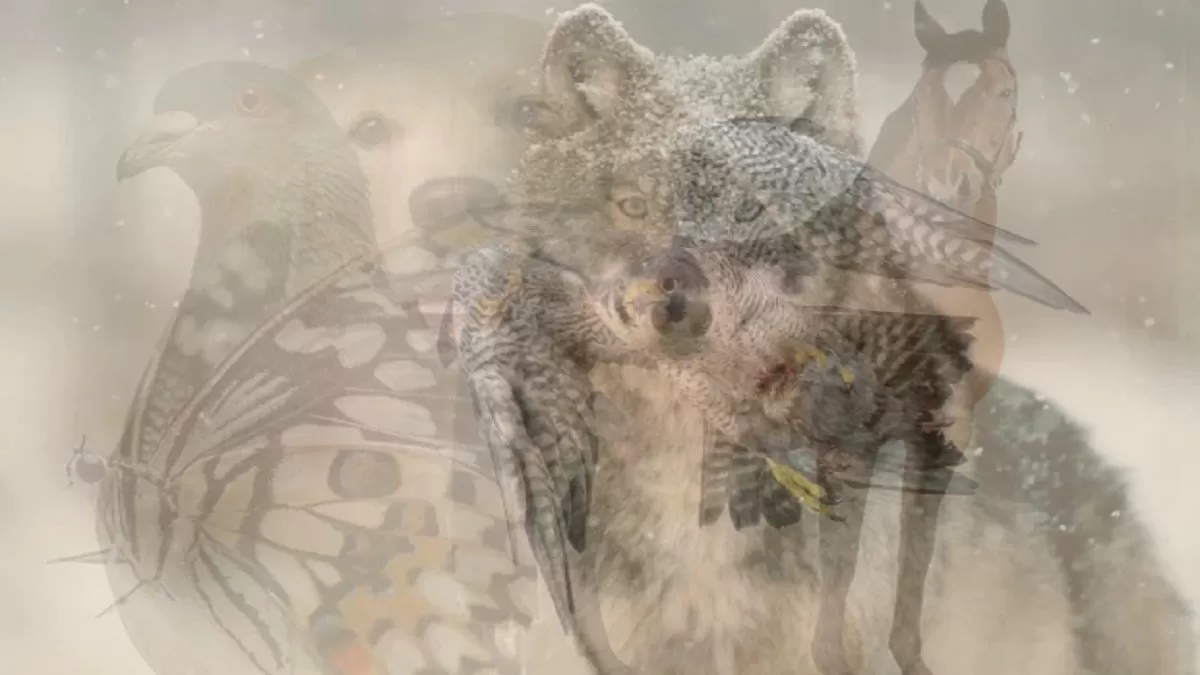 Optical Illusion: The animal you spot first reveals your 'love language'