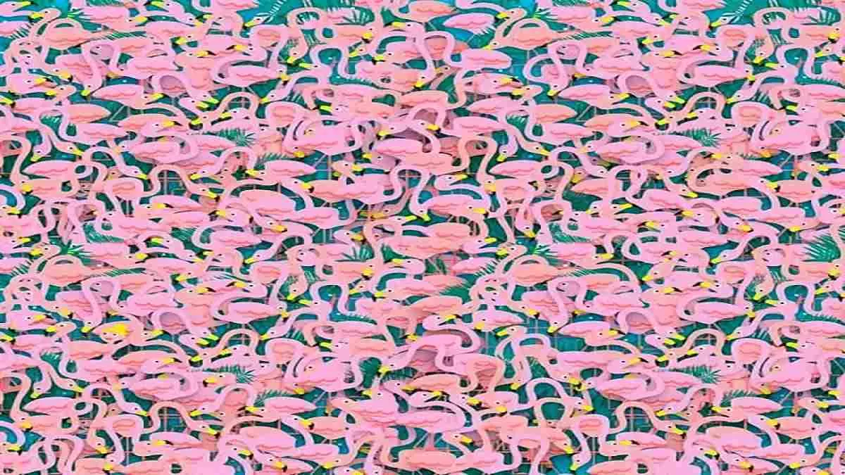 Can you find the hidden dancer in this optical illusion image?
