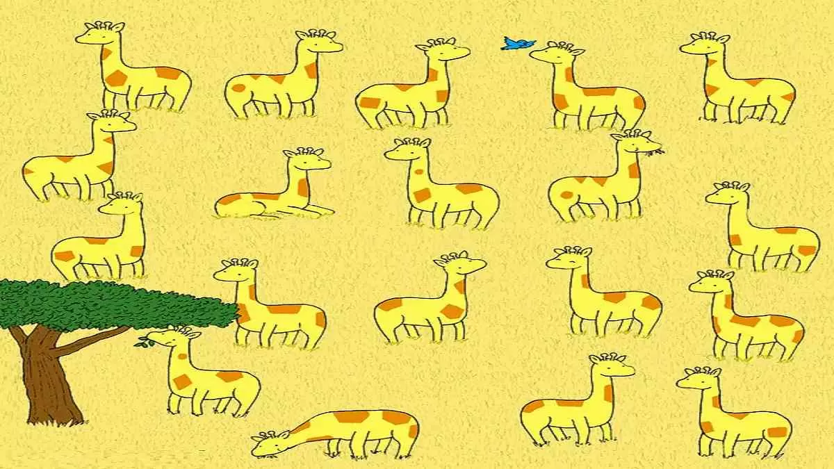 Can you spot a giraffe who does not have a twin in this optical illusion image
