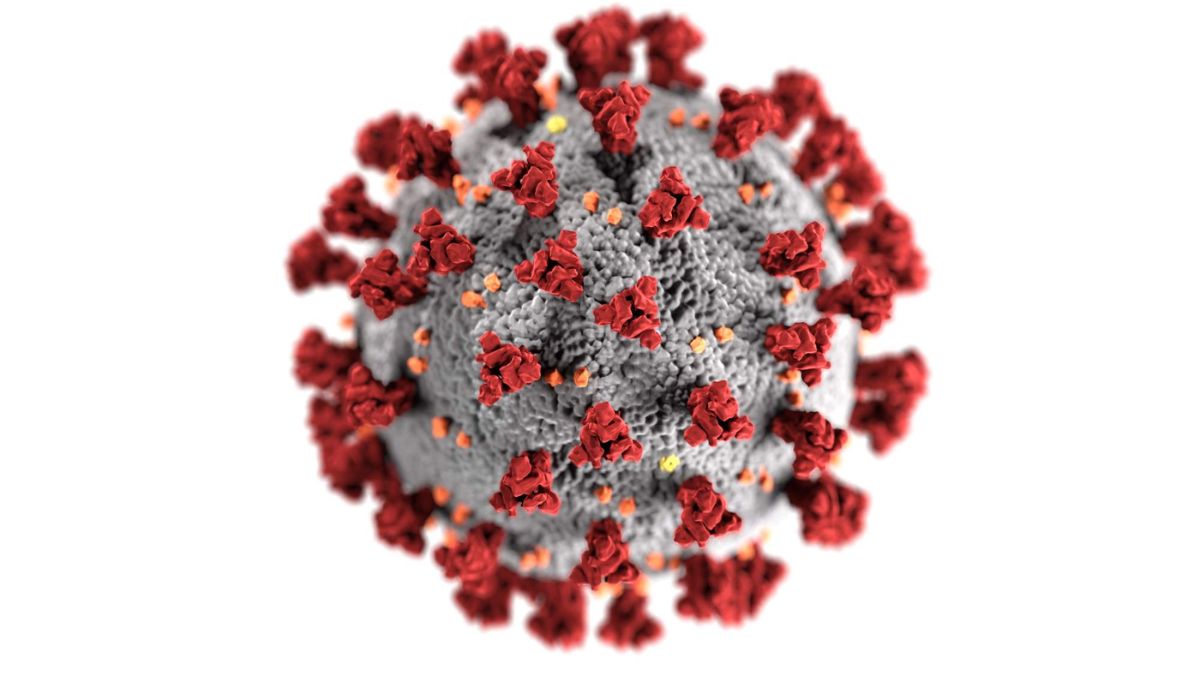 Coronavirus: Corona अब डरा रहा! देश में नहीं थम रही कोरोना की कहर, क्या है इसका संकेत?
