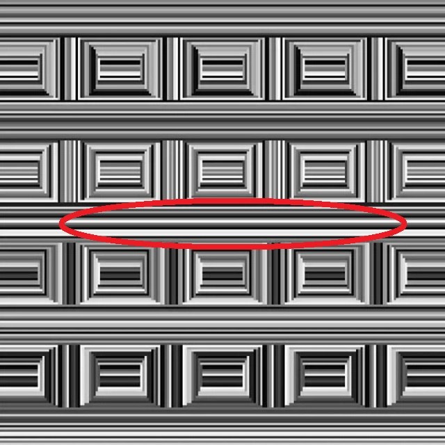 optical illusion trick