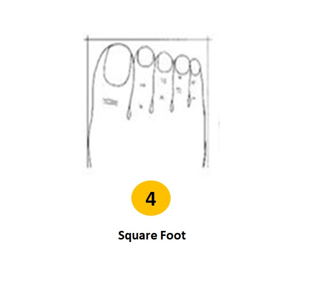 What Does A Square Foot Look Like