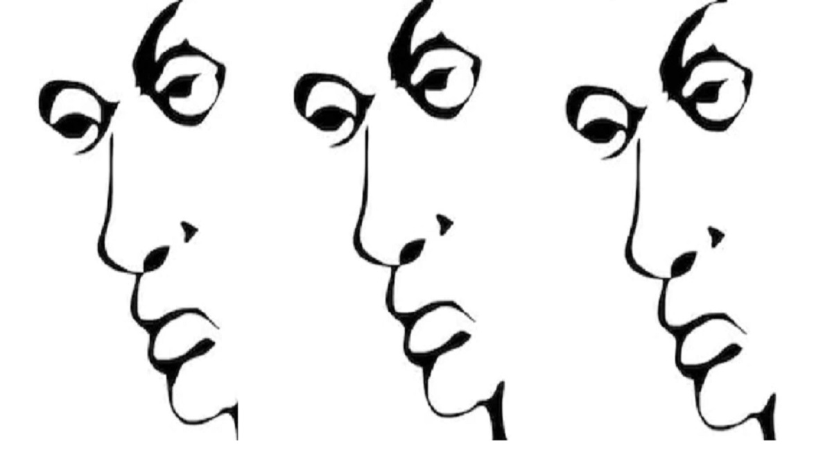 Optical Illusion Image