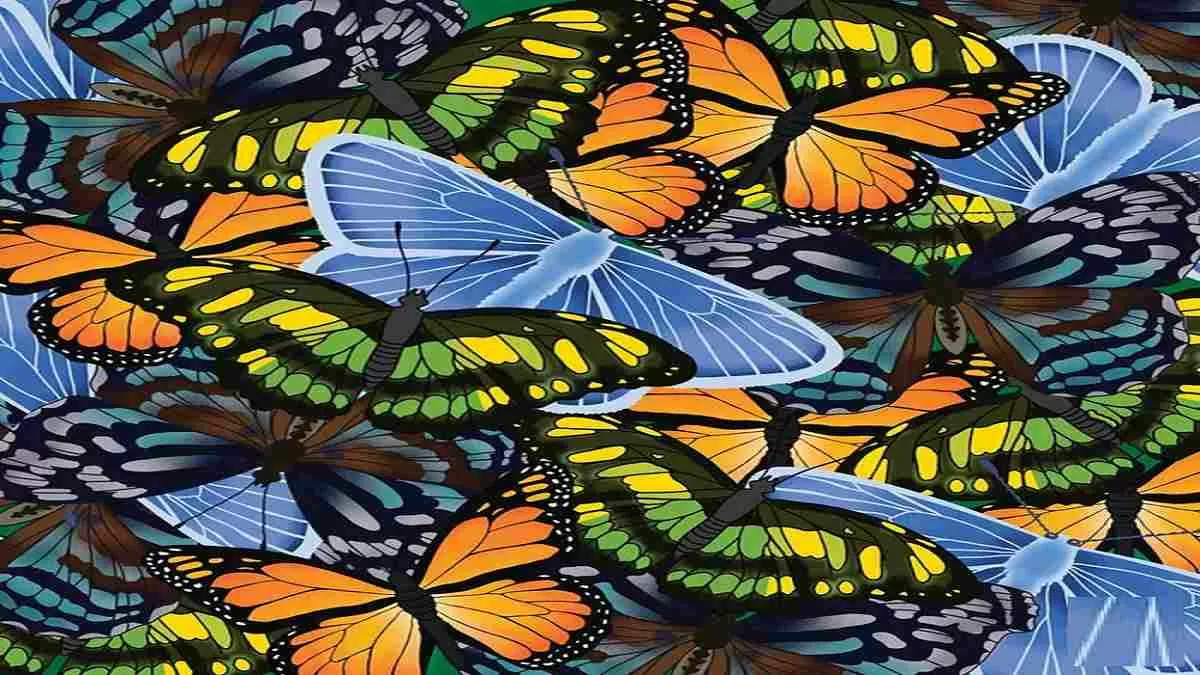 Optical Illusion: Spot the hidden caterpillar in the image in 23 seconds