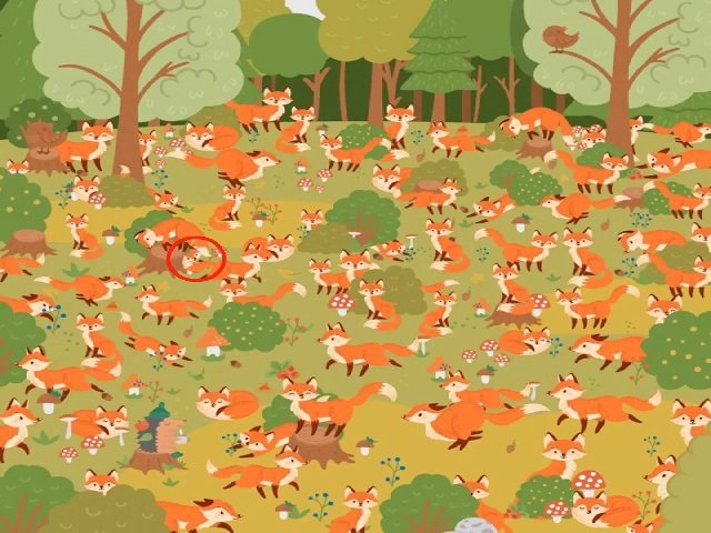 Blue-Eyed-Fox-Answer