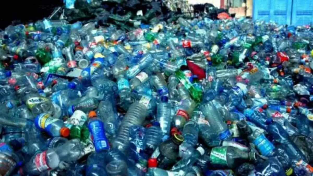 Single Use Plastic ban