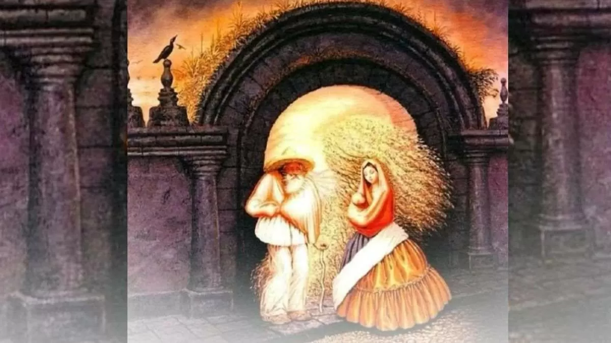 Hidden Faces Optical Illusions Hidden Faces Optical Illusions