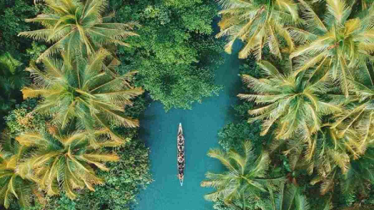 International Day of the Tropics 2022: What are tropical regions and why tropical day is celebrated on June 29?