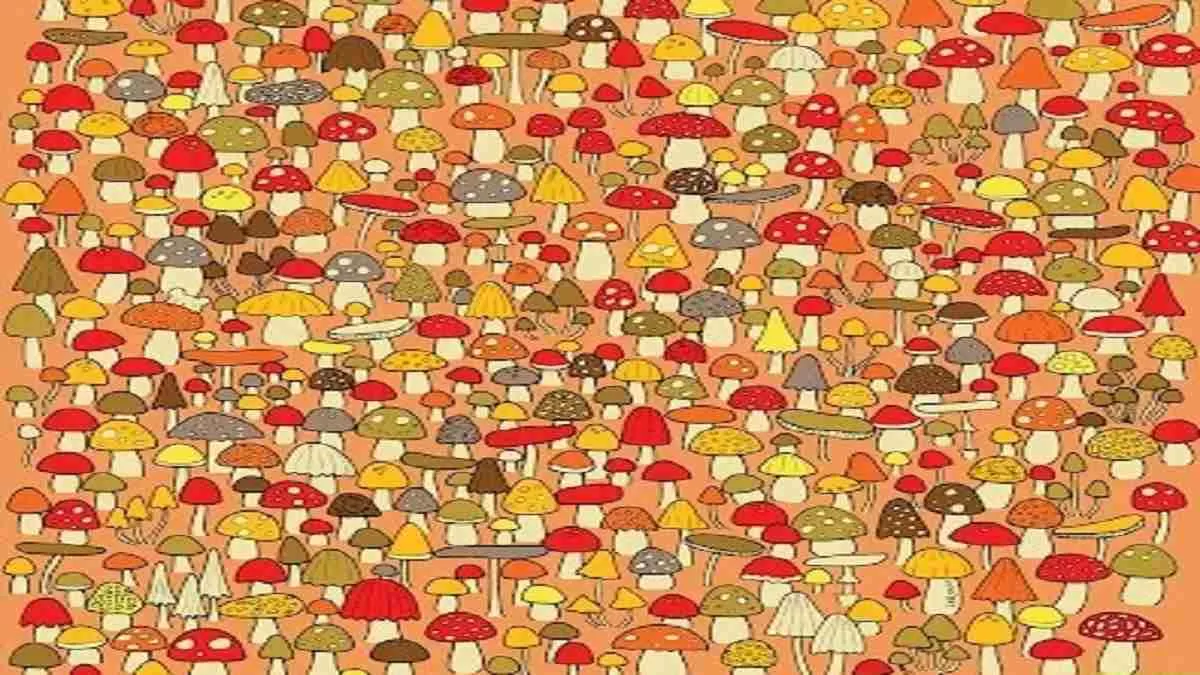 Optical Illusion: Hunt the mouse