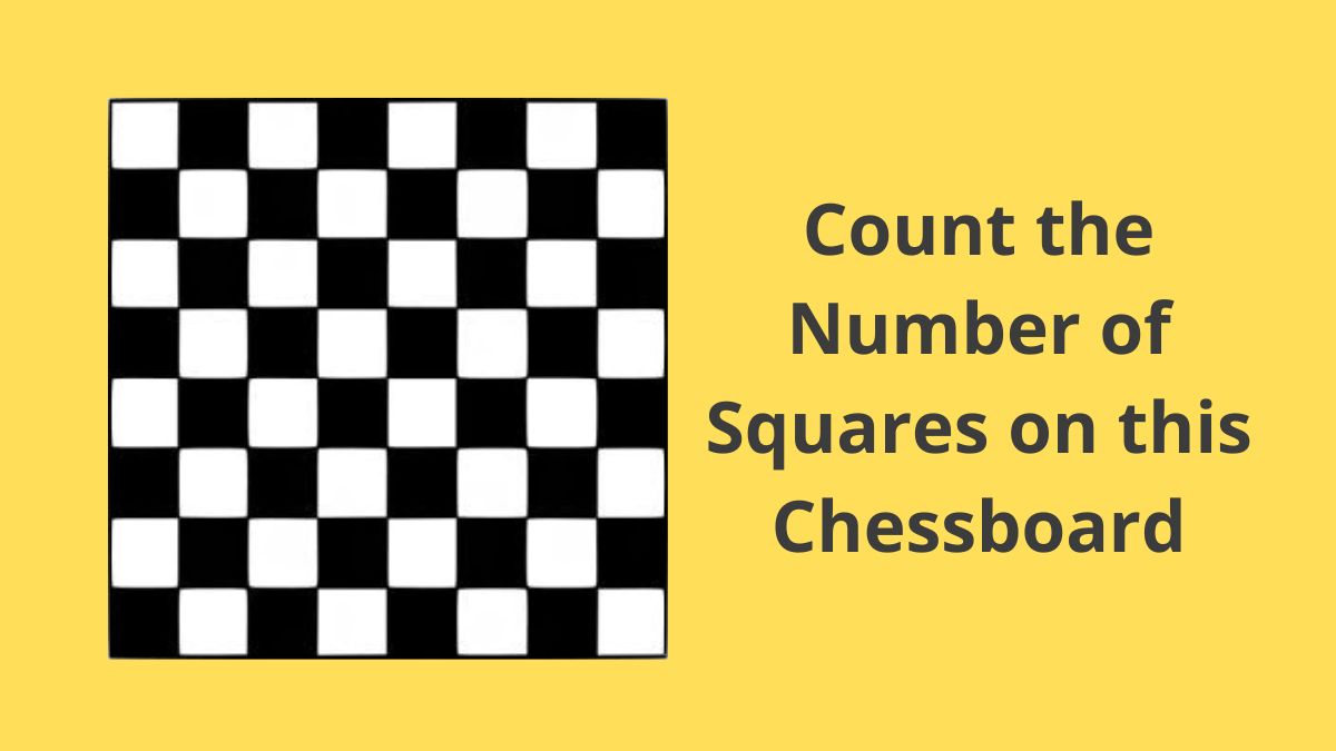 Brain Teaser Puzzle Count The Number Of Squares On Chessboard Within 