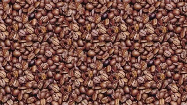 Optical Illusion- Coffee Bean Face Find!