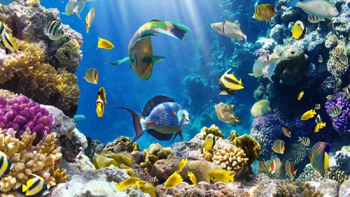 World Oceans Day 2022: Why Oceans Day is celebrated on June 8; 5 Facts ...