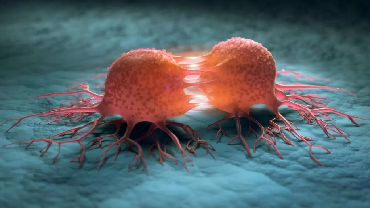 Cancer drug trial