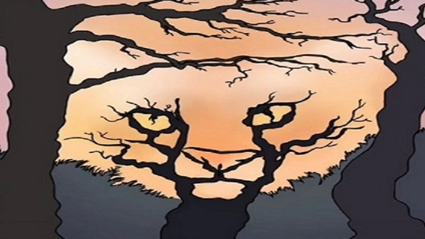 Optical Illusion: What You See in First 5 Seconds Reveals Your True First Impression On People