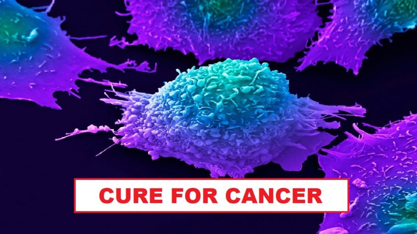 First Time In History Cancer Gets A Cure? Drug, Trial, Treatment Cost ...