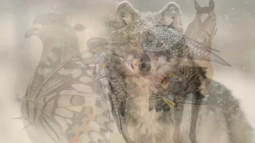 Optical Illusion: The animal you see first reveals how you approach your life