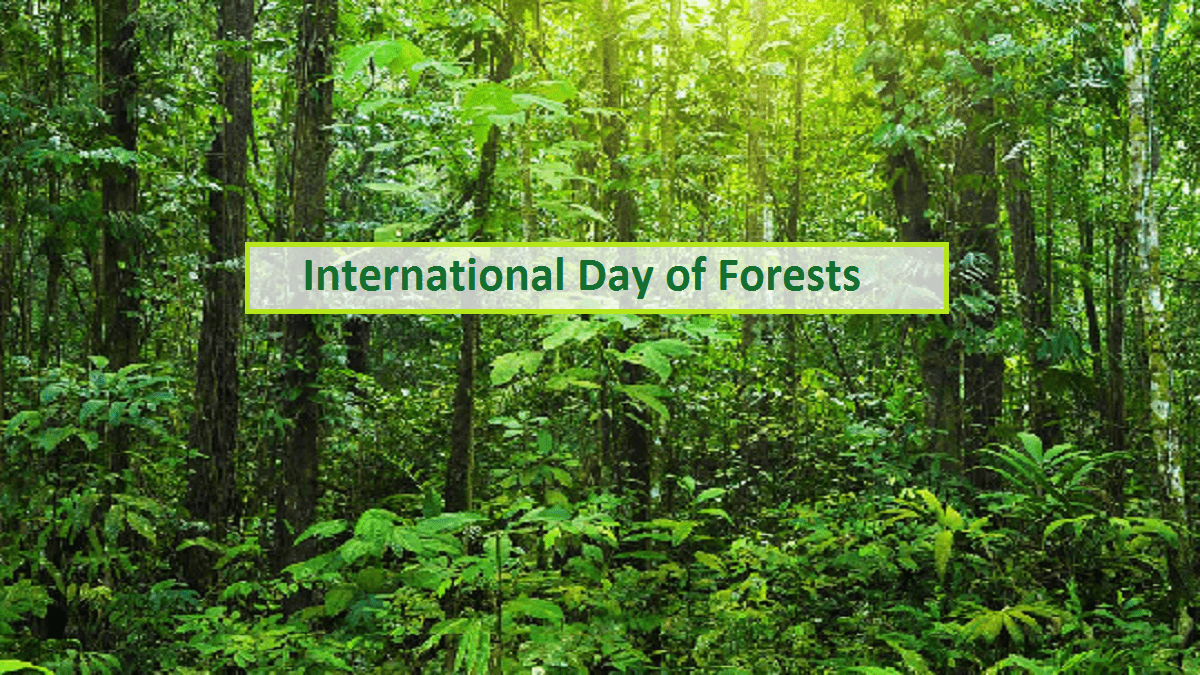 International Day of Forests