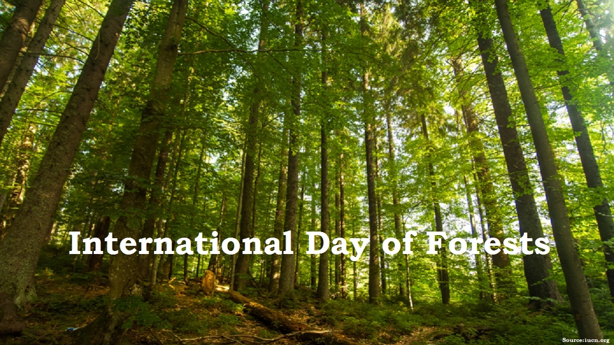 International Day of Forests