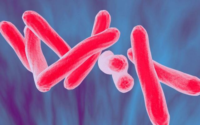 World TB Day 2022: जानें क्यों मनाया जाता है विश्व टीबी दिवस क्या है इसका इतिहास और थीम 