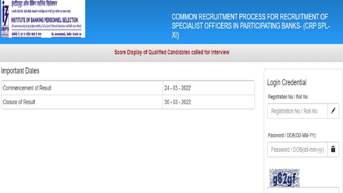 IBPS SO Mains Score Card 2022 Released for CRP SPL XI on ibps.in, Check Scores of Qualified Candidates called for Interview