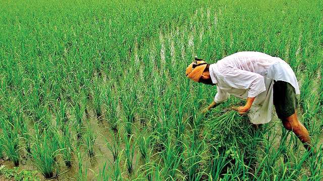 PM Kisan Yojana: किसानों को बड़ी राहत, केंद्र सरकार ने बढ़ाई e-KYC की डेडलाइन