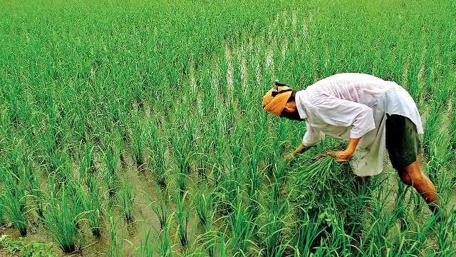 PM Kisan KYC date extended: Check cutoff date and know how to complete e-KYC 