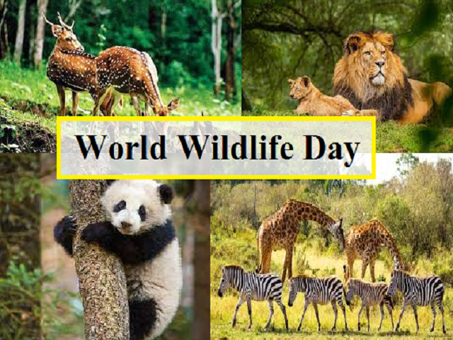 World Wildlife Day 2022: Know Theme, History, Significance, and Key Facts  here