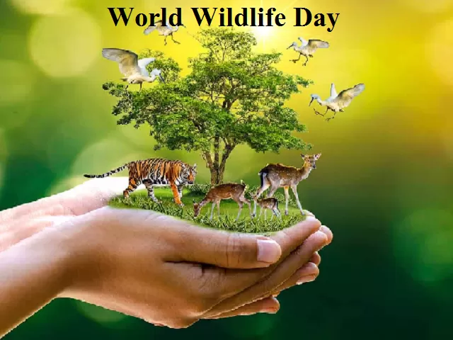 World Wildlife Day Drawing | World Wildlife Day Poster | Save Animals  Poster | Save Wildlife Poster - YouTube