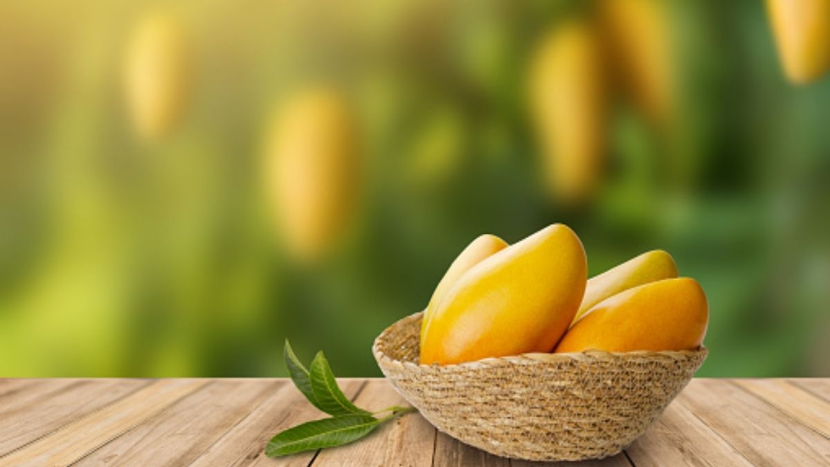 Interesting facts about Mango in Hindi | 'चौसा' आम का नाम चौसा कैसे पड़ा? जानें शेरशाह सूरी से जुड़ी कहानी