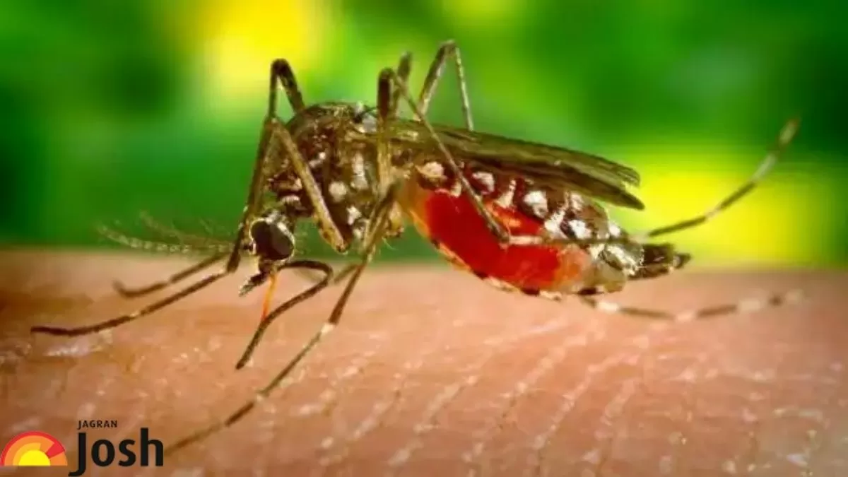 National Dengue Day 2022