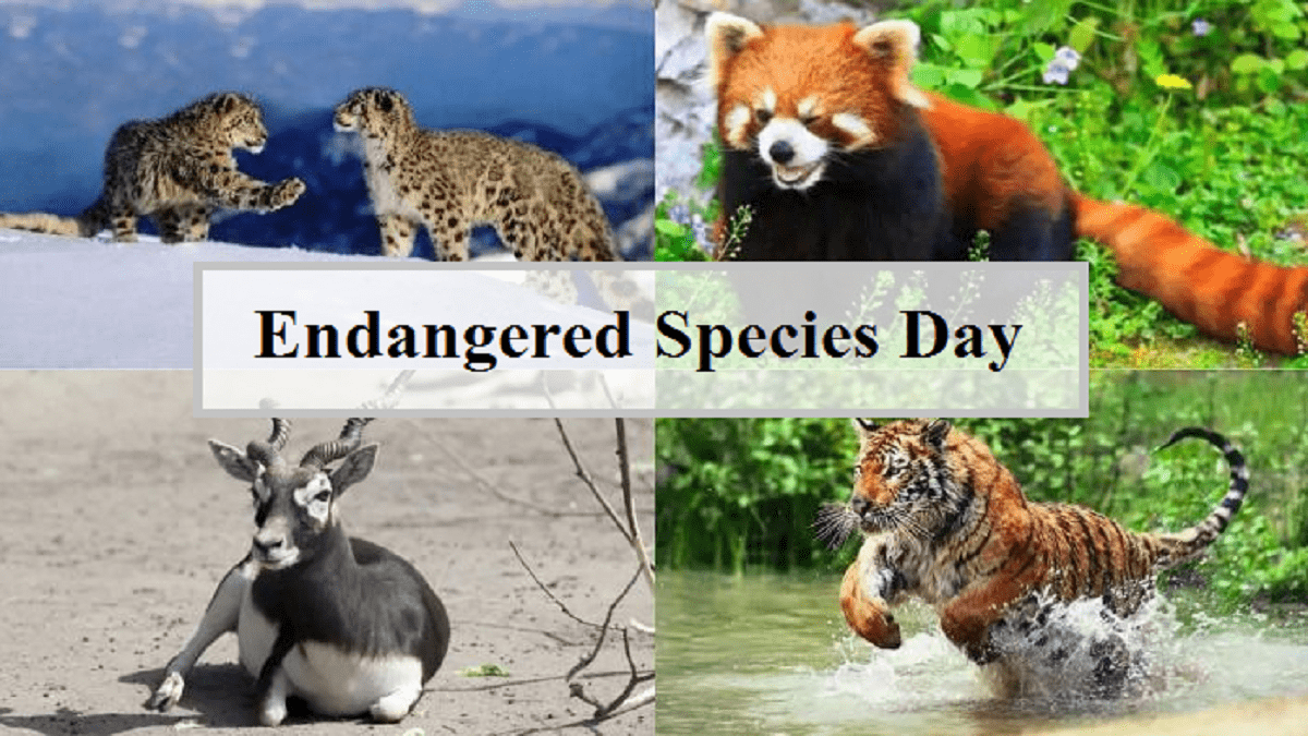 When is Endangered Species Day 2022 observed?
