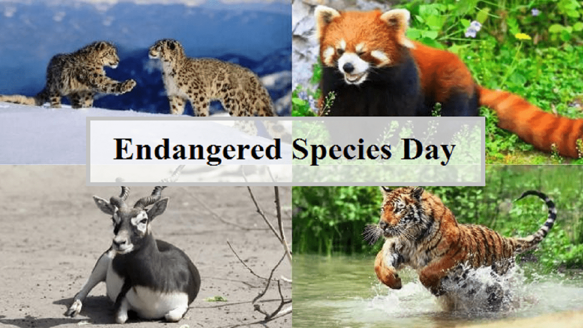  Endangered Species Day 