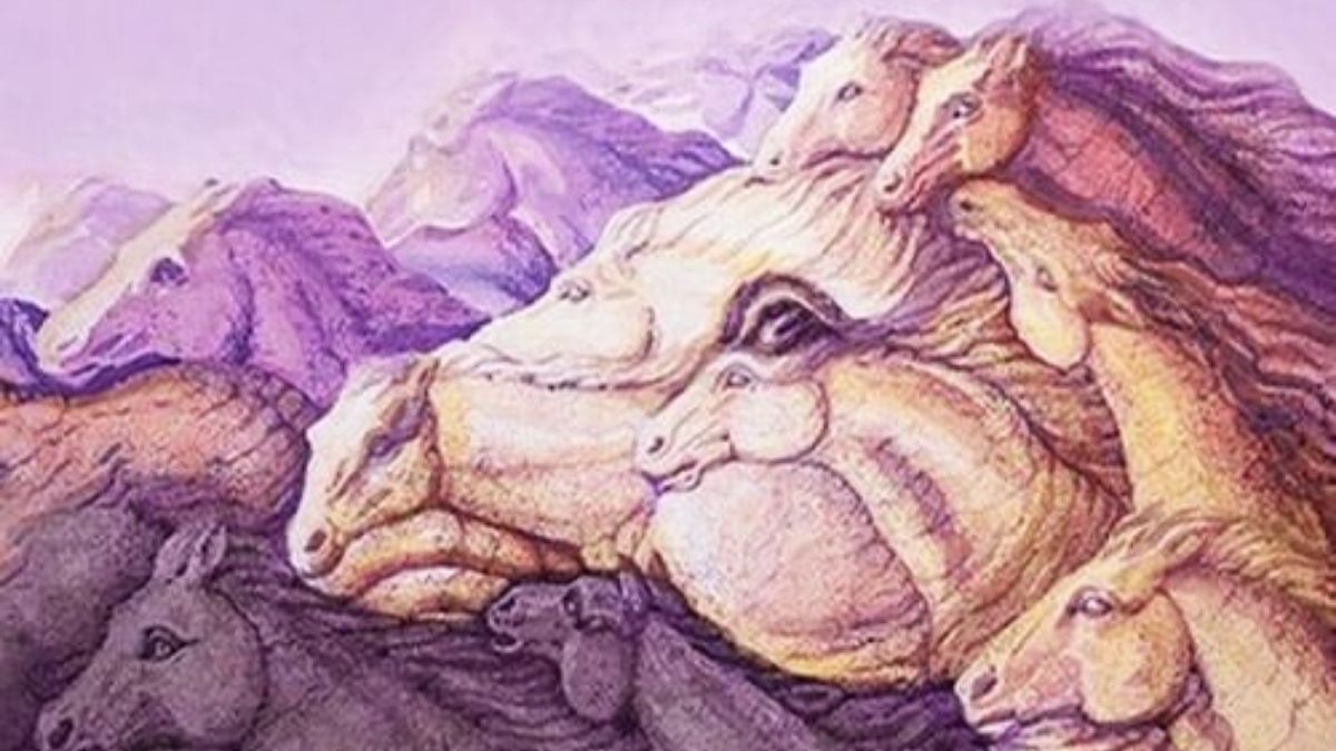 Optical Illusion: अपनी Personality की जाँच करें घोड़ों की संख्या के आधार पर 