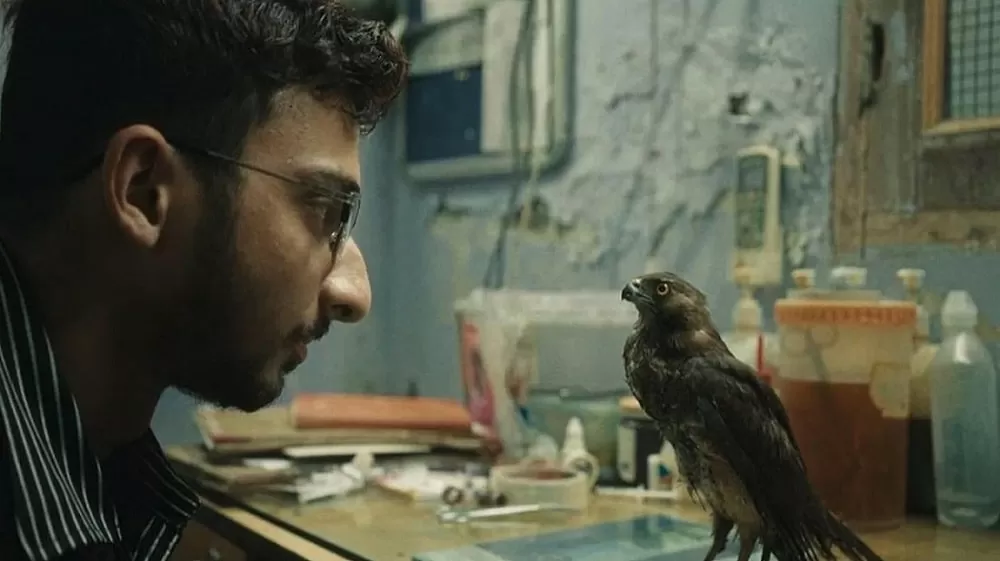 A still from All That Breathes