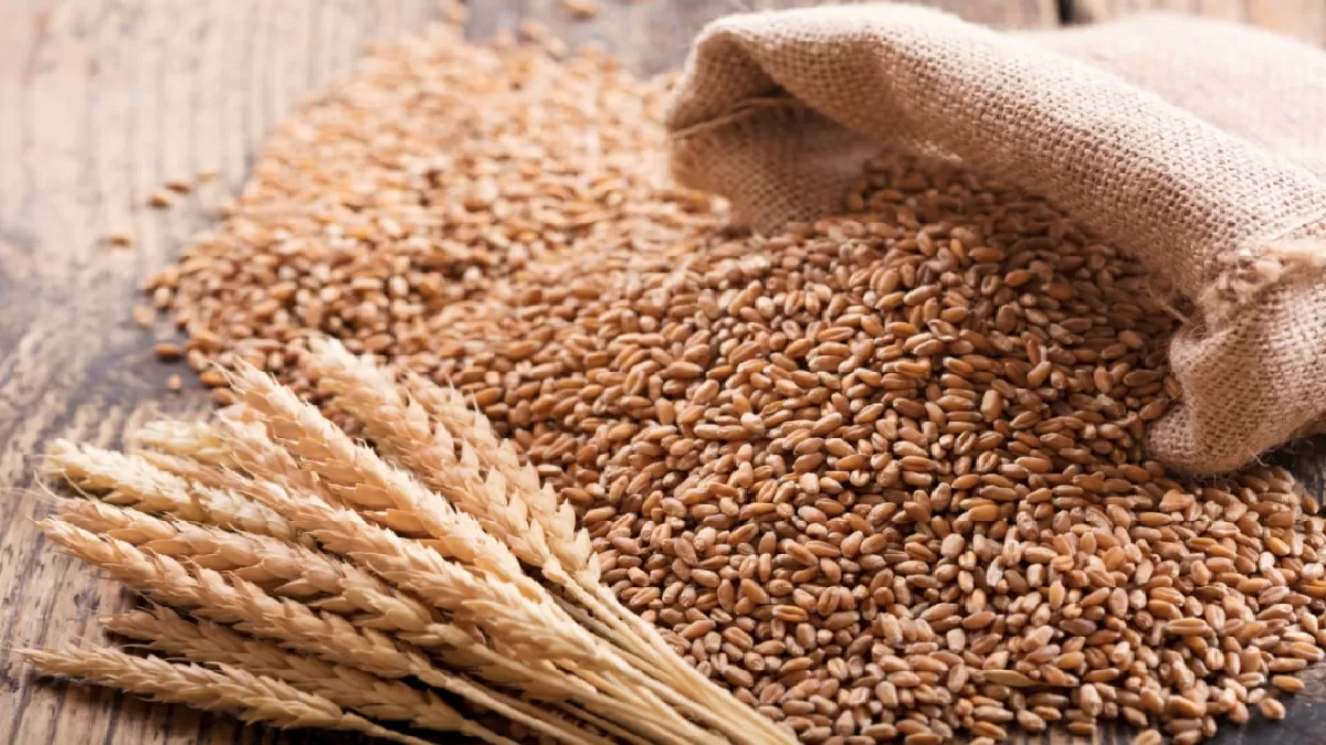 Atta Price rise in India
